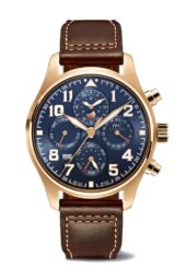 IWC Pilots Watch IW392202