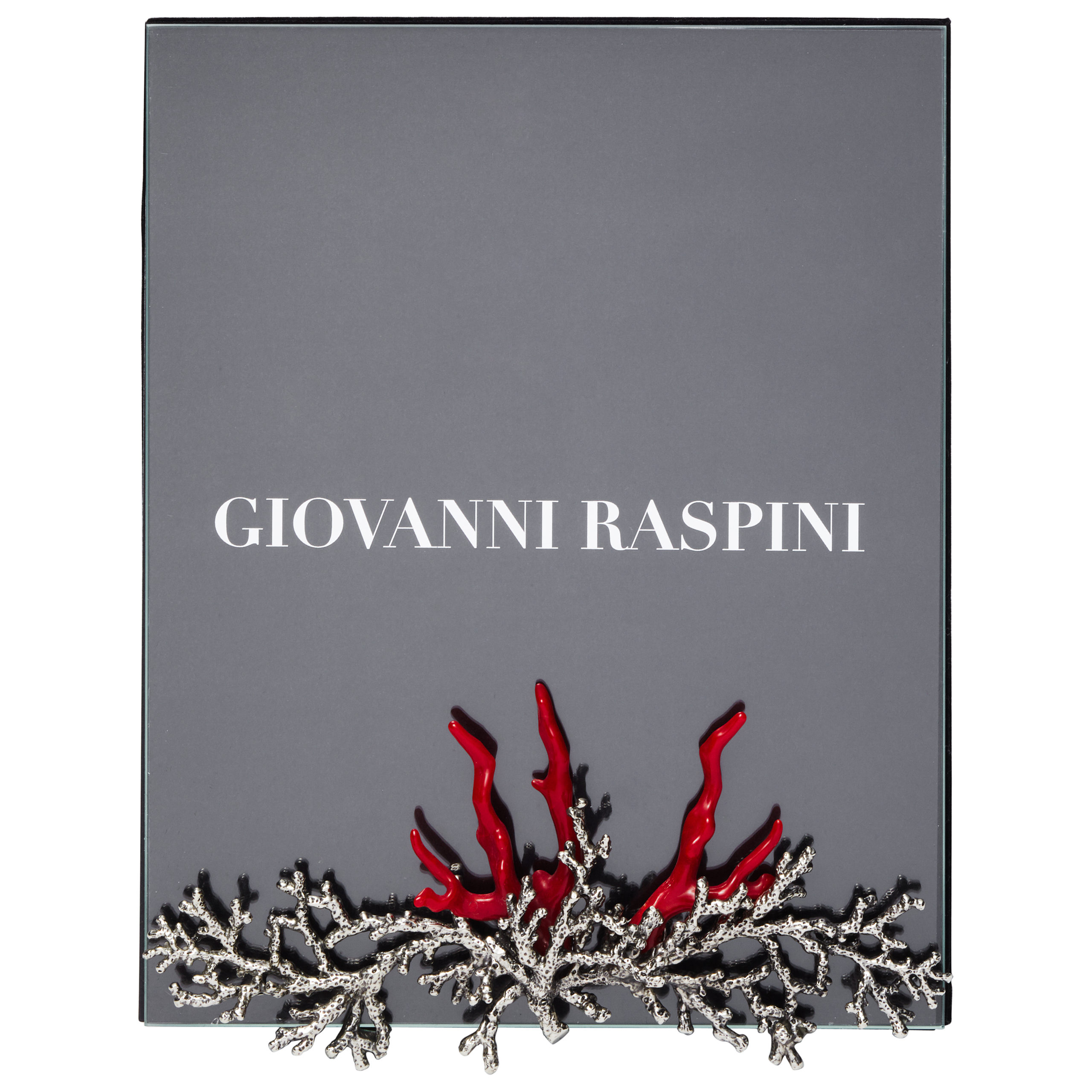 Portafoto Raspini B0661