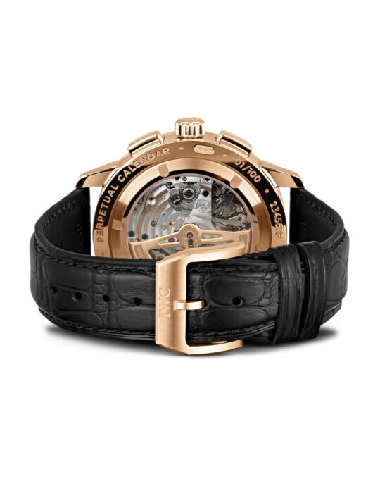 IWC Ingenieur IW381701_3