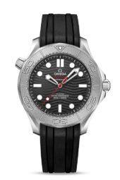 Omega Seamaster 21032422001002