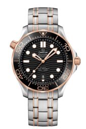 oMEGA SEAMASTER DIVER 300 mt 210.20.42.20.01.001